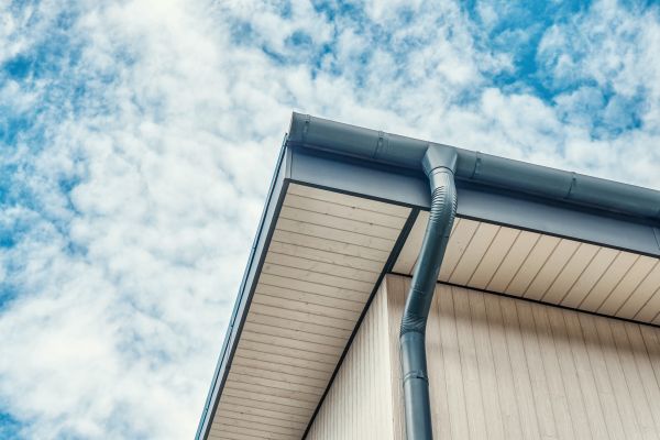 Gutter Fascia Repair in Macon
