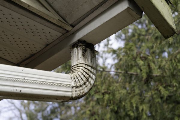 Roof Drain Replacement in Macon